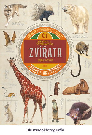 Zvířata: úžasný svět savců