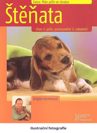Štěnata: chov & péče, porozumění & zabavení