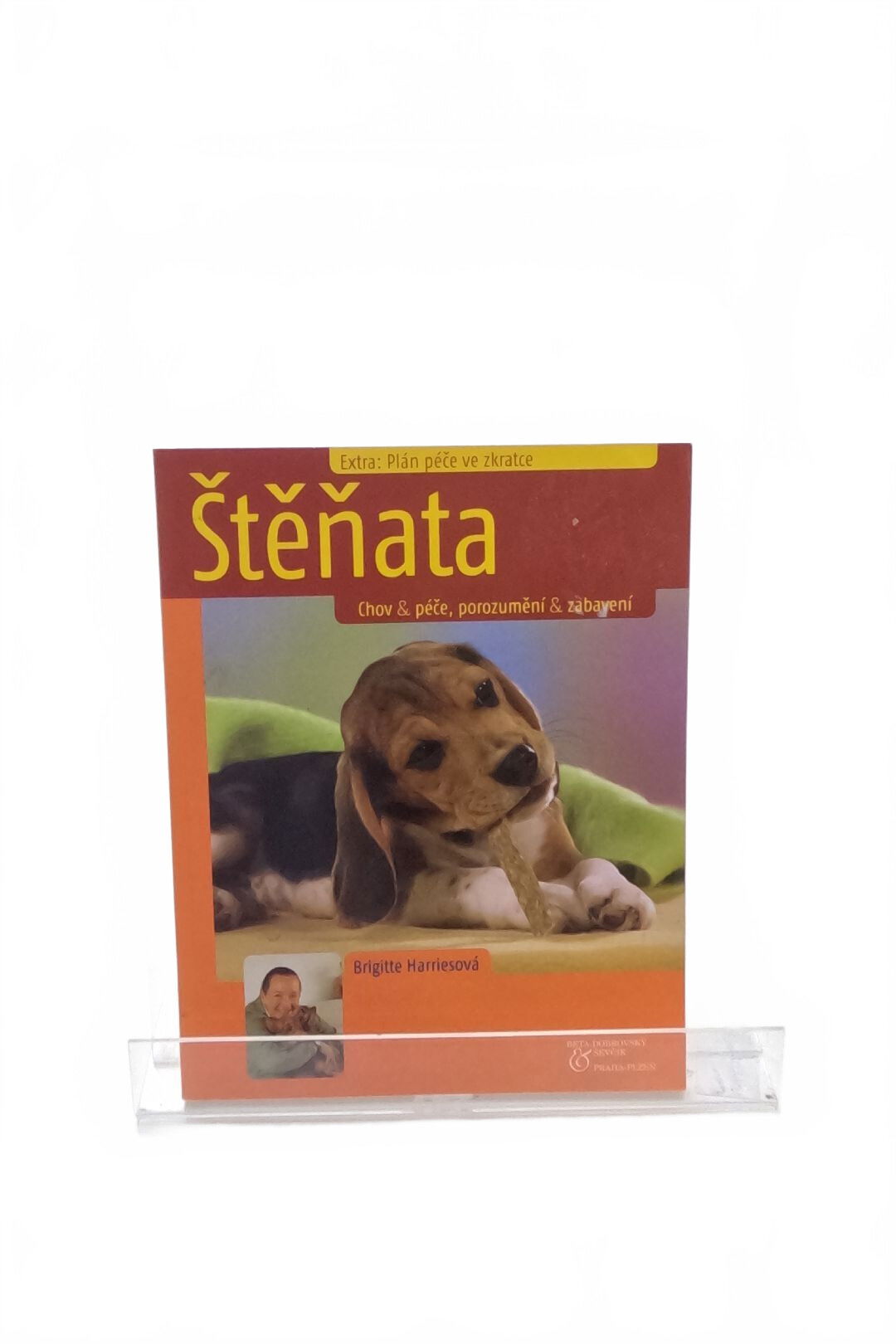 Štěnata: chov & péče, porozumění & zabavení