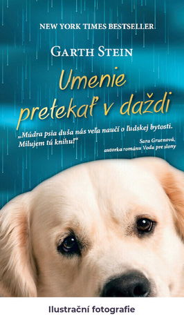Umenie pretekať v daždi