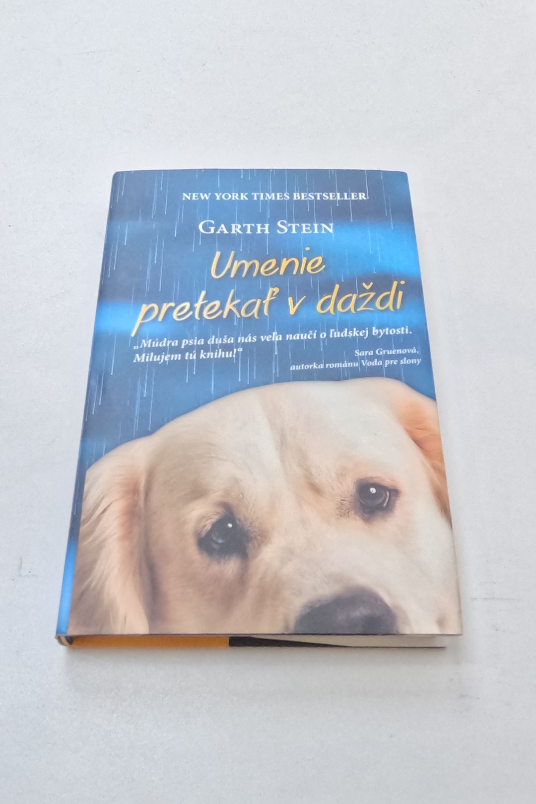 Umenie pretekať v daždi