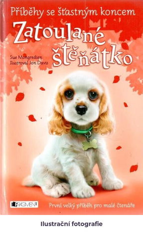 Zatoulané štěňátko