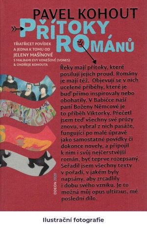 Přítoky románů: třiatřicet povídek a jedna k tomu od Jeleny Mašínové