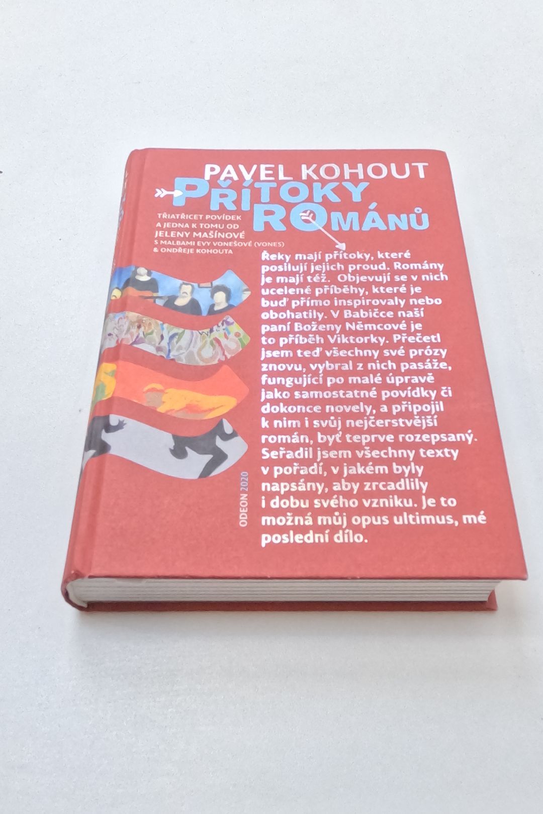 Přítoky románů: třiatřicet povídek a jedna k tomu od Jeleny Mašínové