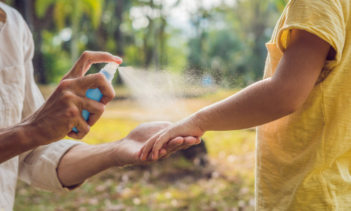 DIY repelent proti otravnému hmyzu zcela bez chemie!