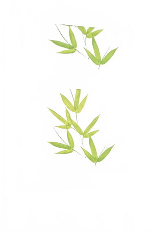 Závěs, barva vzorovaná