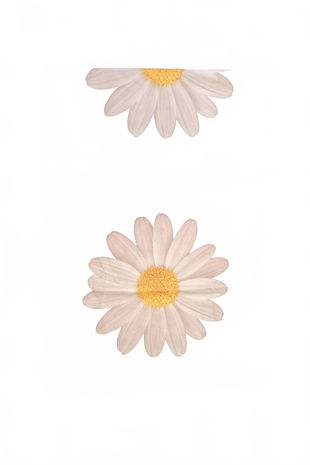 Závěs, barva vzorovaná