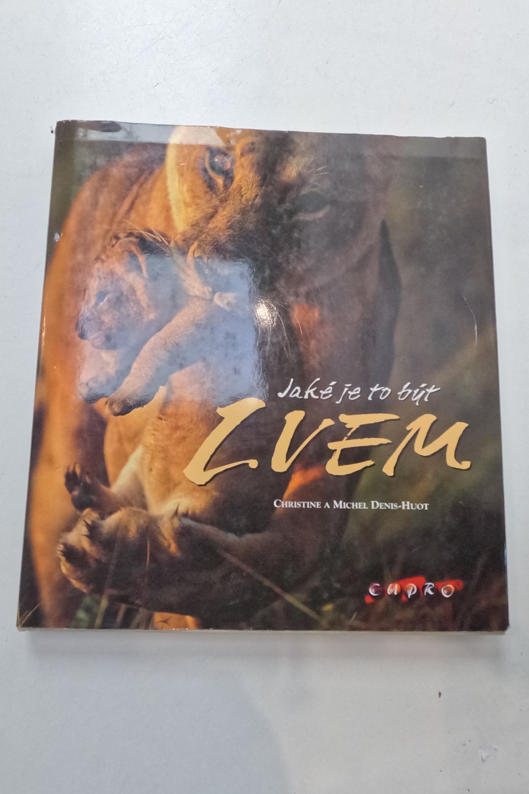 Jaké je to být lvem