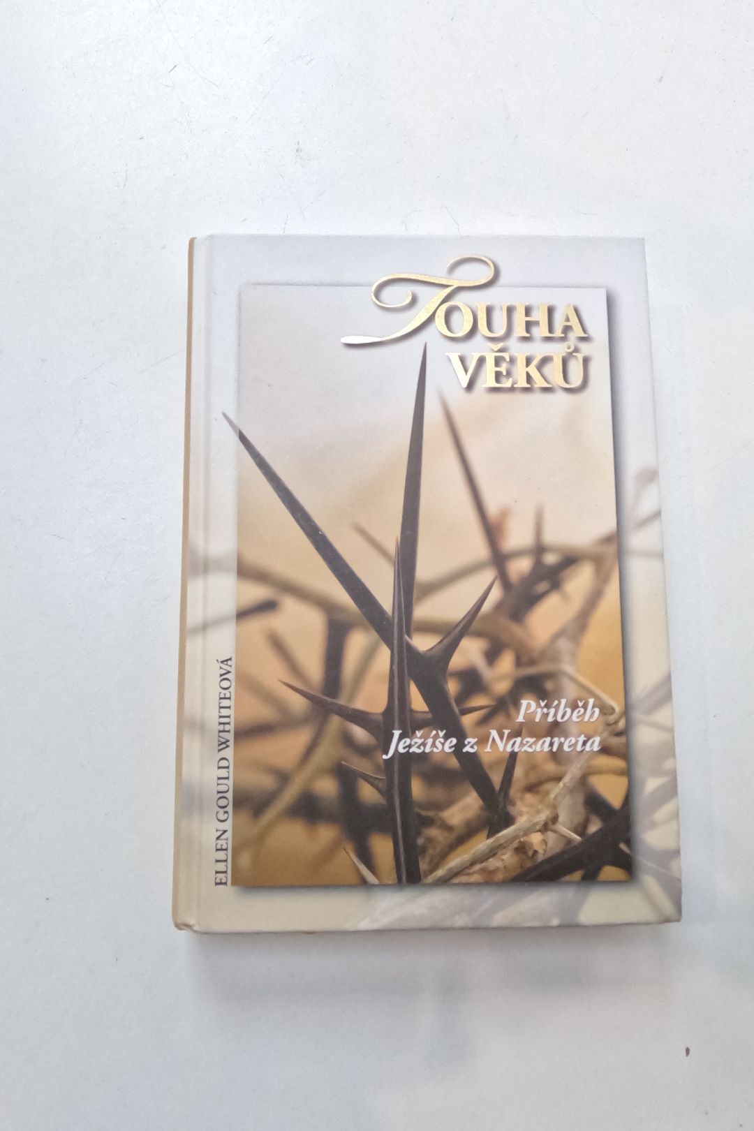 Touha věků: příběh Ježíše z Nazareta