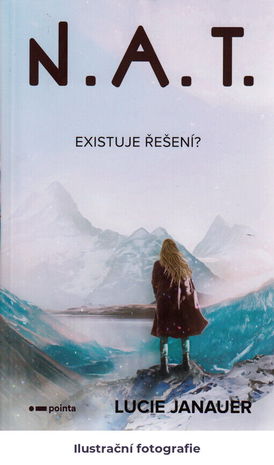 N.A.T.: existuje řešení?