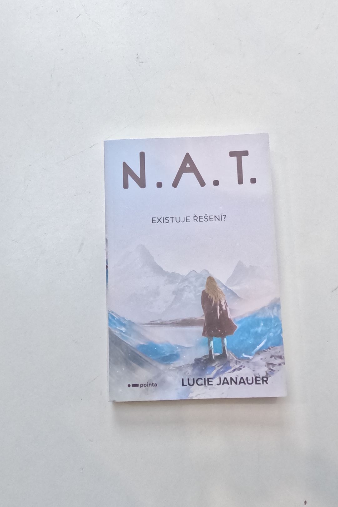 N.A.T.: existuje řešení?