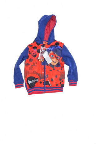 Dievčenská mikina Genesis s potlačou, farba viacfarebná, veľkosť 116