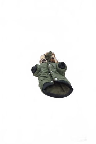 Doplněk pro domácí mazlíčky, barva khaki