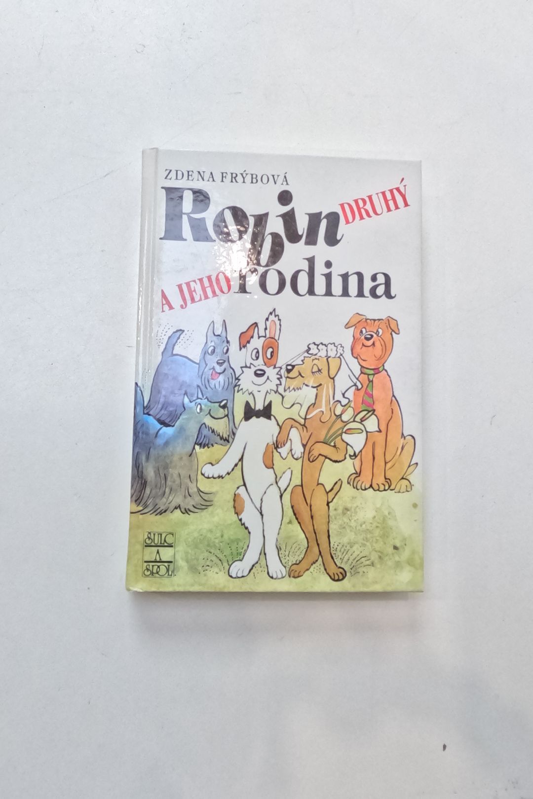 Robin Druhý a jeho rodina