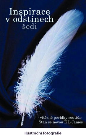 Inspirace v odstínech šedi /[Karin Kušová ... et al.]