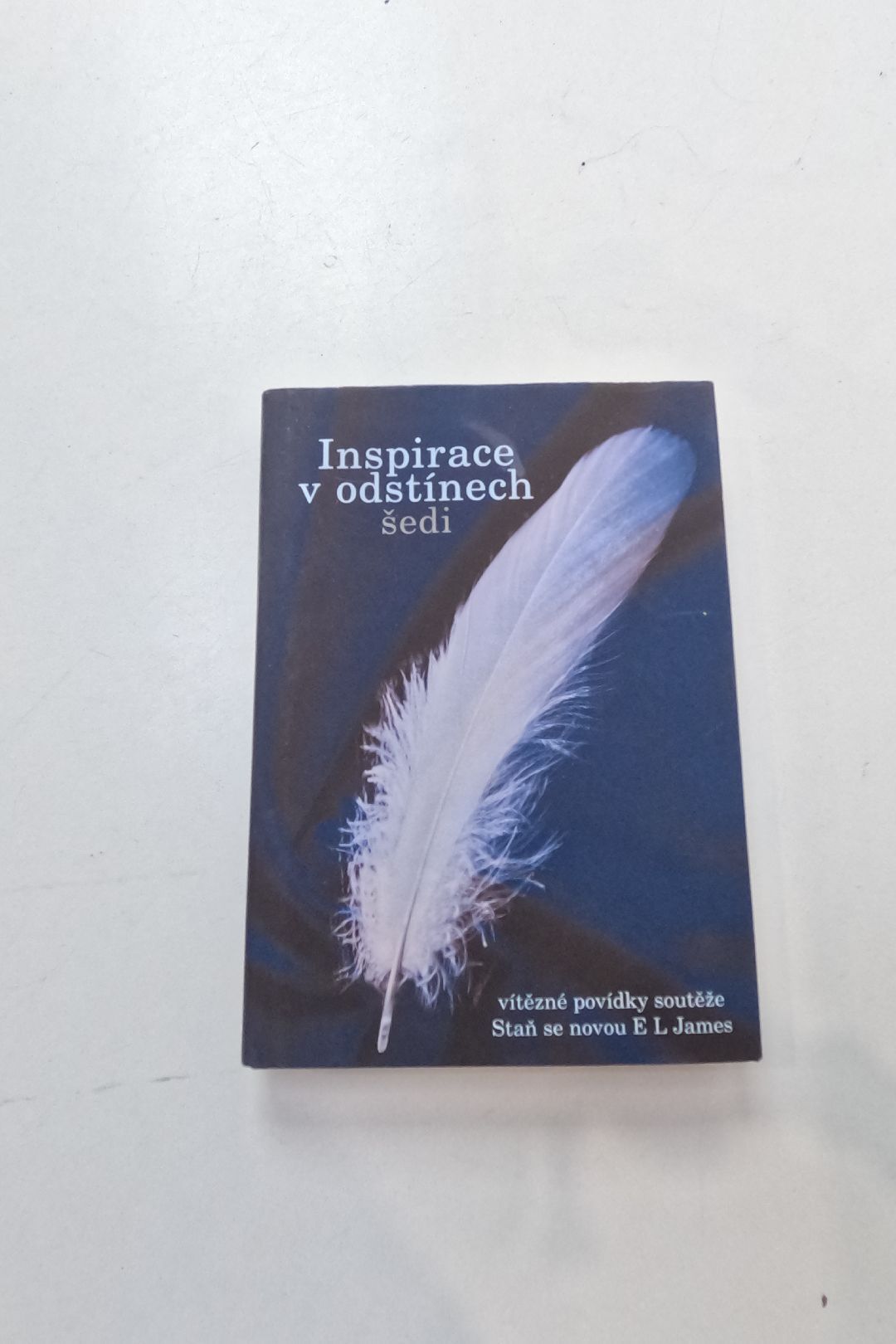 Inspirace v odstínech šedi /[Karin Kušová ... et al.]