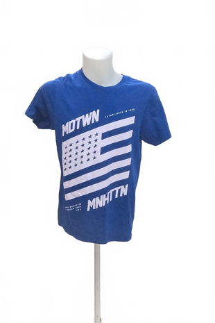 Pánské tričko Fishbone (Fsbn) bez potisku, barva modrá, velikost L