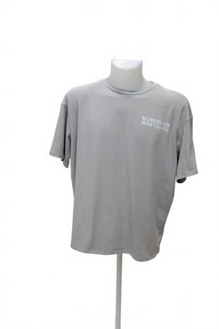 Pánské tričko Genesis s potiskem, barva šedá, velikost M