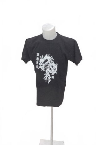 Pánské tričko Genesis s potiskem, barva černá, velikost M