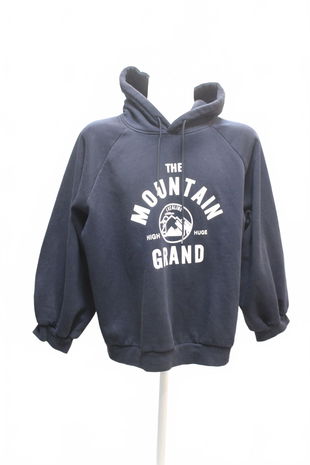 Pánská mikina Genesis s potiskem, barva modrá, velikost L