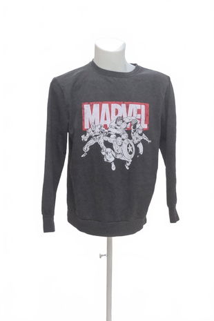 Pánská mikina Genesis s potiskem, barva šedá, velikost XL