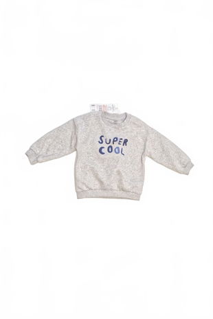 Chlapčenská mikina F&F s potlačou, farba sivá, veľkosť 9-12 m