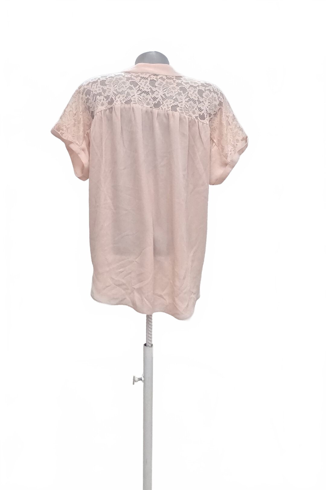 Damen bluse : Brand,Farberute,größe: size