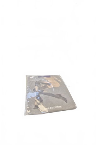 Damenmode-Accessoire, Farbe violett