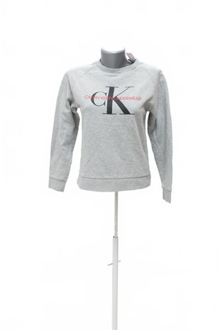 Mädchen-Sweatshirt Calvin Klein, Farbe grau, Größe 152